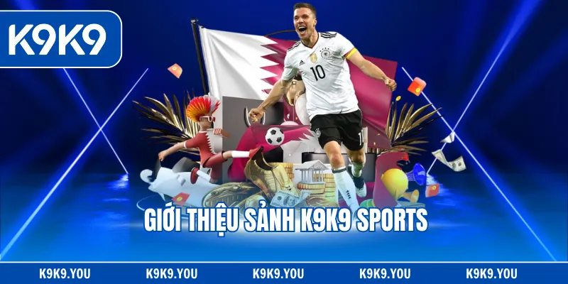 Giới thiệu sảnh K9K9 Sports